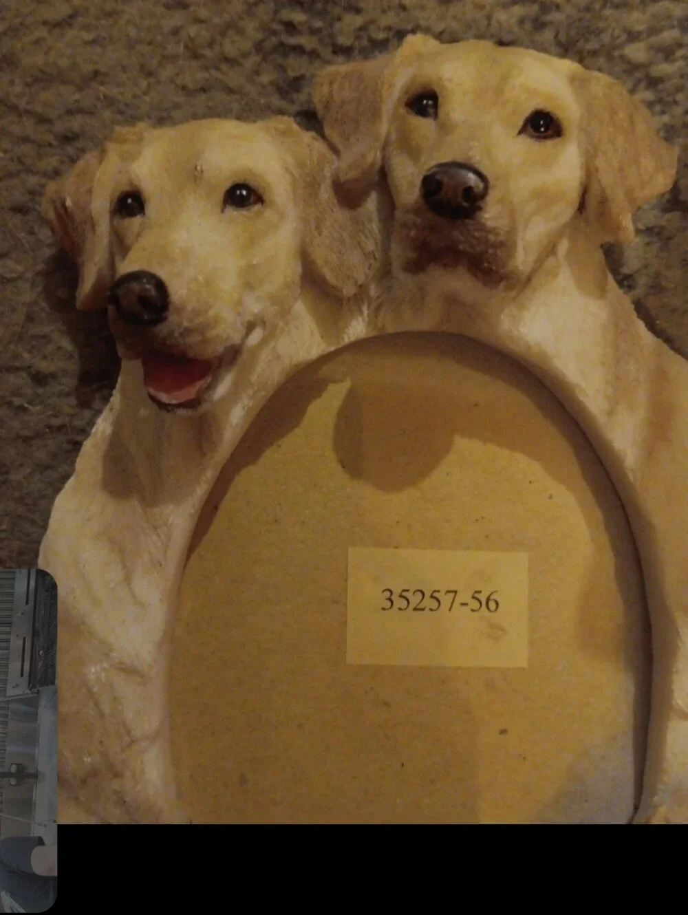 Labrador retriever picture frame (plastic)